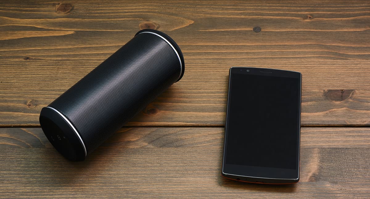 Portable Bluetooth Speakers